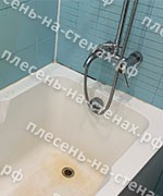 Удаление плесени на стенах и установка уголка в ванной