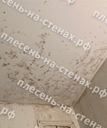 Удаление плесени на потолке в ванной