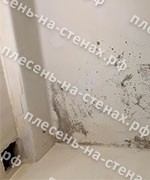 Удаление плесени на потолке в ванной