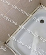 Удаление плесени, замена герметика и уголка в душевой