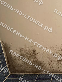 Удаление плесени на потолке в ванной